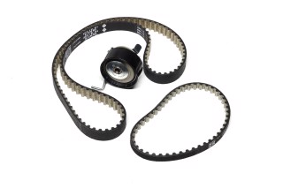 Комплект поликлинового ремня (Пр-во INA)