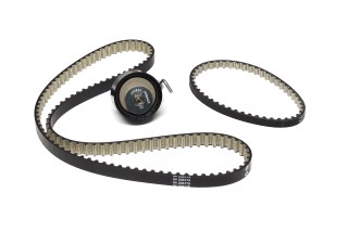 Комплект поликлинового ремня (Пр-во INA)