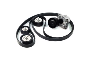 Комплект поликлинового ремня (Пр-во INA)