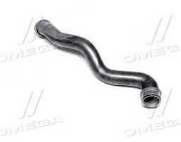 Шланг радіатора