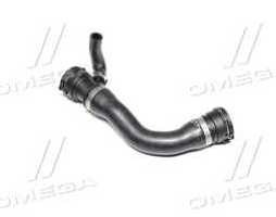 Шланг радіатора