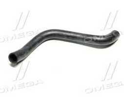 Шланг радіатора