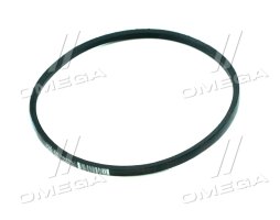 Ремінь A 800 PHG A31 (SKF)