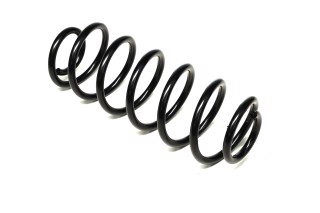 Пружина підв. задн. FORD FIESTA VI (вир-во Lesjofors)