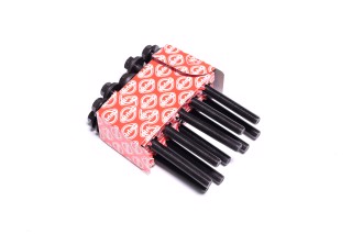 Комплект болтів головки блоку циліндрів FORD 2,0 EcoBlue 16- (вир-во Elring)