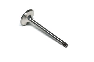 Клапан впускний VAG 1.9 TDI 36x7x96.8 (вир-во GUNES)