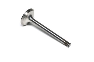 Клапан впускний VAG 1.9 TDI 36x8x96.8 (вир-во GUNES)