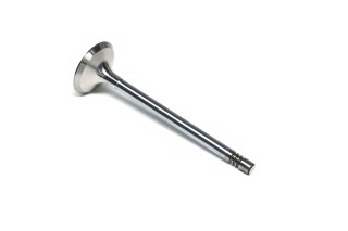 Клапан выпускной VAG 1.2 TSI 30x6x98.3 (пр-во GUNES)