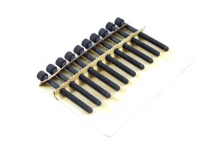 Болт головки циліндрів (компл.) 10 шт. Nissan MICRA III -10, NOTE -13 (вир-во Jakoparts)