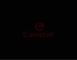 Фарба на основі синтетичної смоли, чорна Case IH 0,75 л (Cametet)