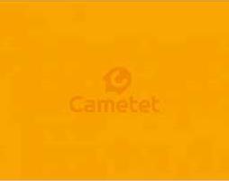 Фарба на основі синтетичної смоли, помаранчева JCB 0,75 л (Cametet)