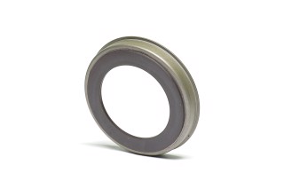 Кільце ABS задн. Ford Mazda -14, Mazda (вир-во Blue Print)