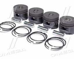 Поршень цилиндра УМЗ 4215,16,13,18 d=100,0 (Поршень+Палец +П/кольца+Ст/к) (гр.Б) фосфатир.М/К (RIDER