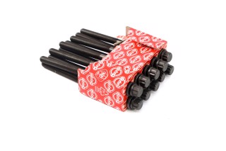 Комплект болтів головки циліндрів HYUNDAI 2.0 CRD D4EA/D4EB EURO 4 (вир-во Elring)