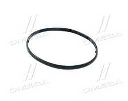 Уплотнительное кольцо, термостат VAG 3,0 TDI V6 (пр-во Elring)