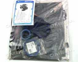 Р/к двигуна Д 21 (Professional) (20 найменувань) (TEMPEST)