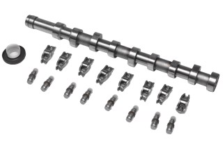 Комплект валу розподільчого з рокерами та компенсаторами FORD/PSA 1.5/1.6 TDCi DV6 (вир-во INA)