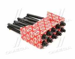 Комплект болтов головки блока цилиндров 10шт BMW N63 (2) (пр-во Elring)