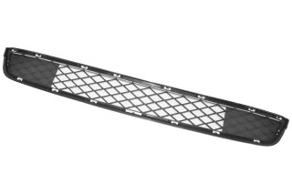 Решітка бампера пер. BMW X3 F25 10-14 (TEMPEST)