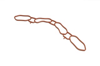 Прокладка впускний колектор NISSAN 2,5 16V QR25DE (вир-во Elring)