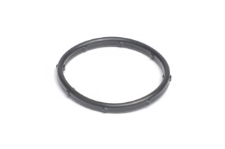 Уплотнительное кольцо термостата Hyundai/Kia 1,4/1,6 16V F4FG/F4FC/G4FA/G4FC/G4FD/G4FG/G4FJ  (пр-во