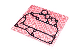 Прокладка масляний радіатор MAN TGS/TGX D2066LF06-D2066LF93 (вир-во Elring)