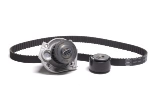 Водяний насос +  комплект зубчастого реміня (Вир-во SKF)