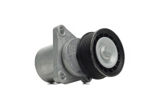 Натяжний ролик поліклинового реміня (Вир-во SKF)