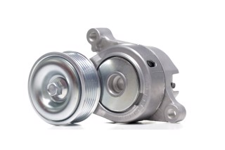 Натяжний ролик поліклинового реміня (Вир-во SKF)