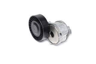 Натяжной ролик поликлинового ремня (Пр-во SKF)