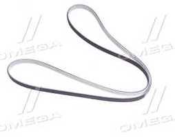 Поліклиновий ремінь (Вир-во SKF)