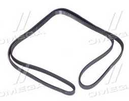 Поліклиновий ремінь (Вир-во SKF)