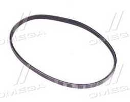 Поліклиновий ремінь (Вир-во SKF)