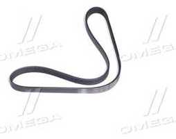 Поліклиновий ремінь (Вир-во SKF)