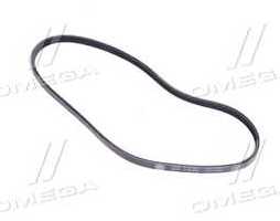 Поліклиновий ремінь (Вир-во SKF)