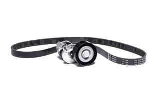 Комплект поліклинових ременів (Вир-во INA)