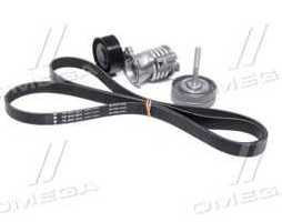 Комплект поліклинових ременів (Вир-во INA)