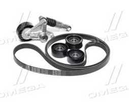 Комплект поліклинових ременів (Вир-во INA)