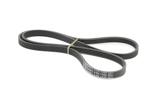 Поліклиновий ремінь (Вир-во Contitech)