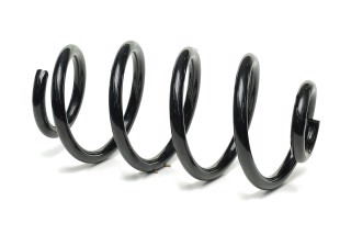 Пружина підвіски задн. Nissan Juke I -19 (вир-во Blue Print)