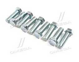 Болт М16х55х2,0 шестигранный (1кг = 1 компл) 5,8 DIN 933 / ГОСТ 7805 (полная резьба) оцинк. белый