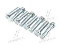 Болт М16х70х2,0 шестигранный (1кг = 1 компл) 5,8 DIN 933 / ГОСТ 7805 (полная резьба) оцинк. белый