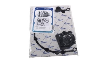 Р/К прокладок гідромуфти КАМАЗ (пароніт 5 найм.) (TEMPEST)