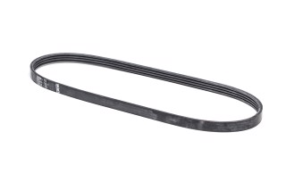 Ремень поликлиновый (Пр-во BISCH)