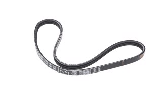 Ремінь поліклиновий (Вир-во BOSCH)