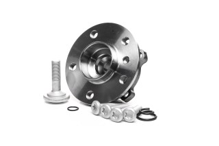 Маточина у зборі