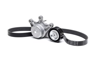 Комплект поликлинового ремня (Пр-во INA)