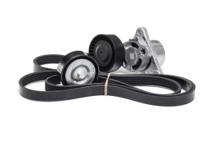 Комплект поликлинового ремня (Пр-во INA)