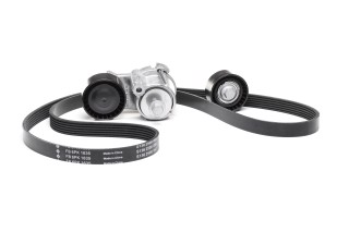 Комплект поликлинового ремня (Пр-во INA)