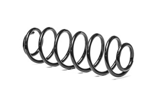 Пружина підв. Ford Fiesta Mk V задн. (вир-во DENCKERMANN)